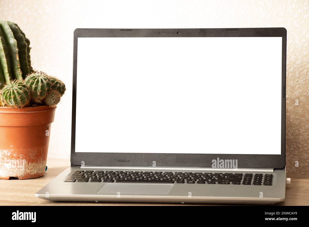 un computer portatile con schermo bianco è sul tavolo, un cactus è trasportato in una stanza a casa, un computer portatile è sul tavolo, lavorando in un computer portatile a casa Foto Stock un computer portatile con schermo bianco è sul tavolo, un cactus è trasportato in una stanza a casa, un computer portatile è sul tavolo, lavorando in un computer portatile a casa Foto Stock