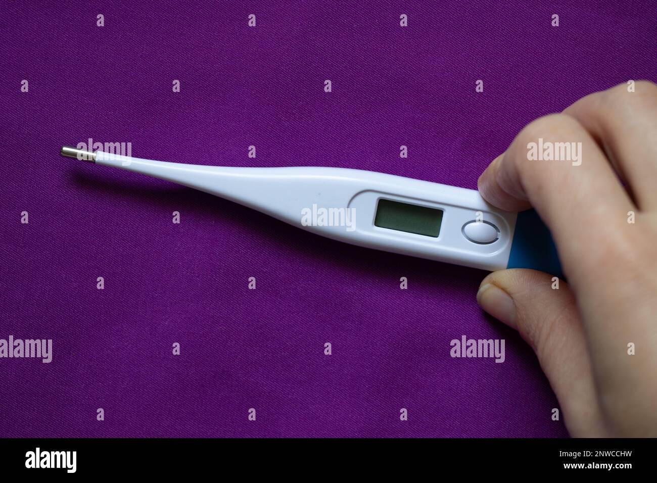 la mano femminile tiene un termometro elettronico si trova su uno sfondo viola, medicina e farmacia, salute e trattamento, alta temperatura Foto Stock