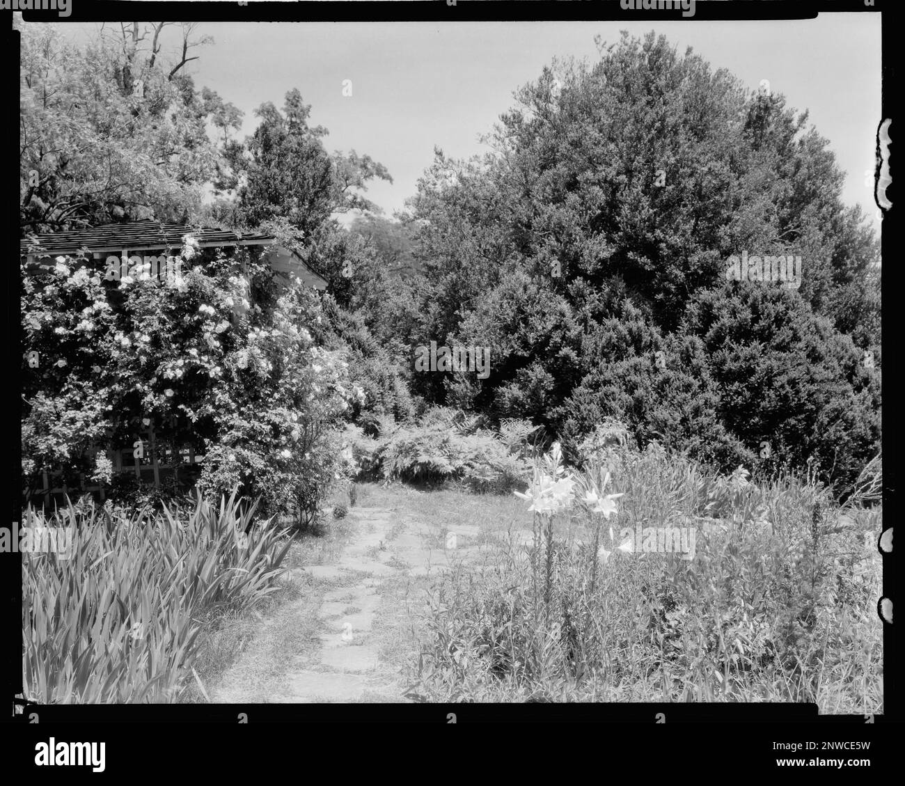 Estouteville, Green Mountain, contea di Albemarle, Virginia. Carnegie Survey of the Architecture of the South. Stati Uniti Virginia Albemarle County Green Mountain, giardini. Foto Stock