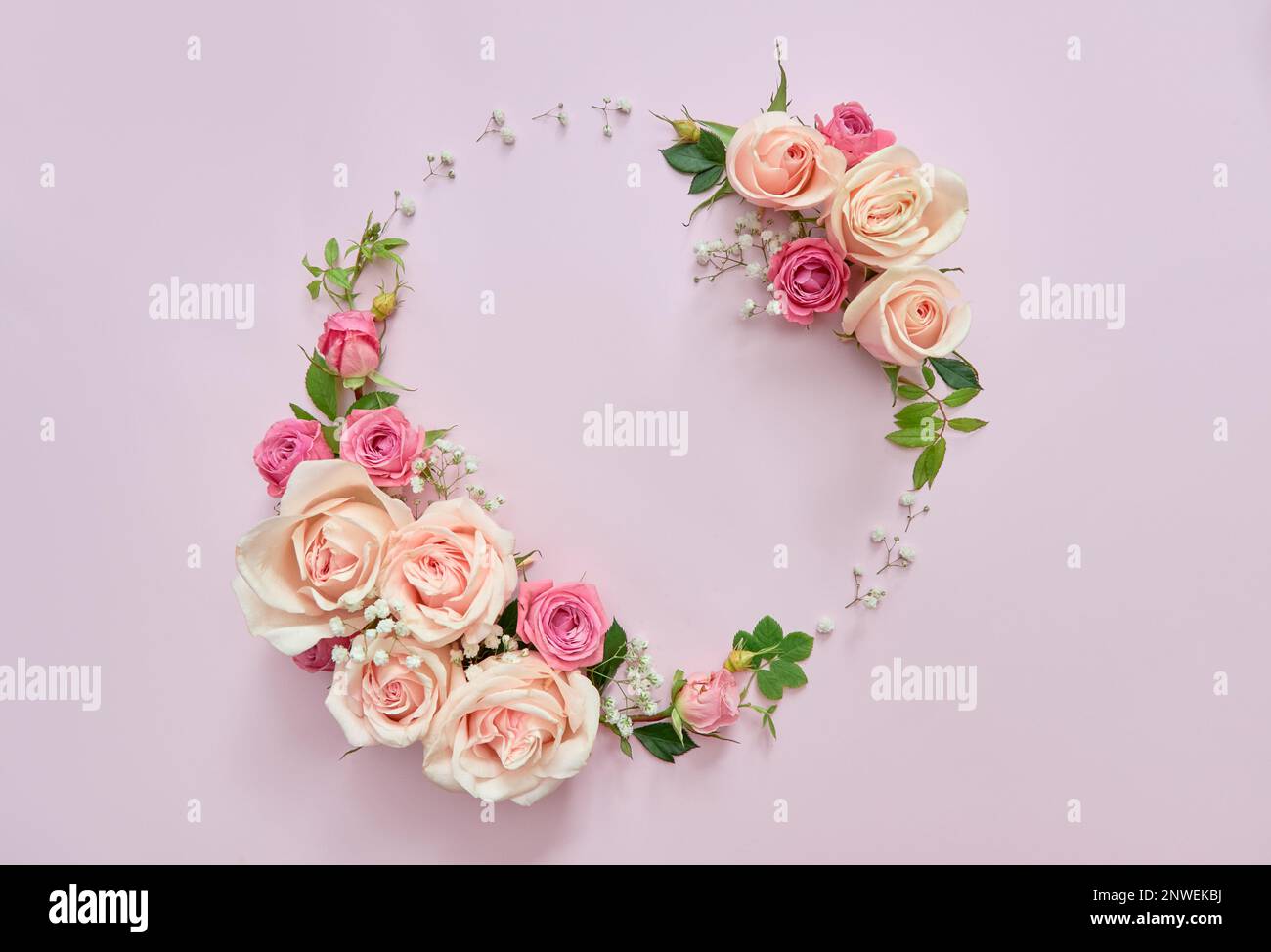 Rosa rose e foglie cornice circolare su sfondo floreale viola chiaro. Foto Stock