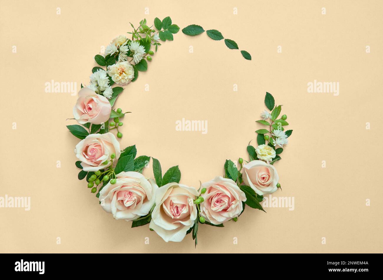 Rose fiori rosa e foglie verdi cerchio su sfondo floreale beige. Giacitura piatta Foto Stock