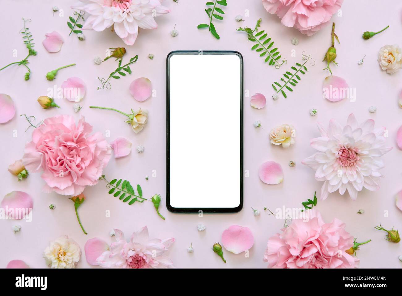 Telefono mockup schermo bianco su fiori sfondo floreale rosa. Piano di giacitura, vista dall'alto Foto Stock