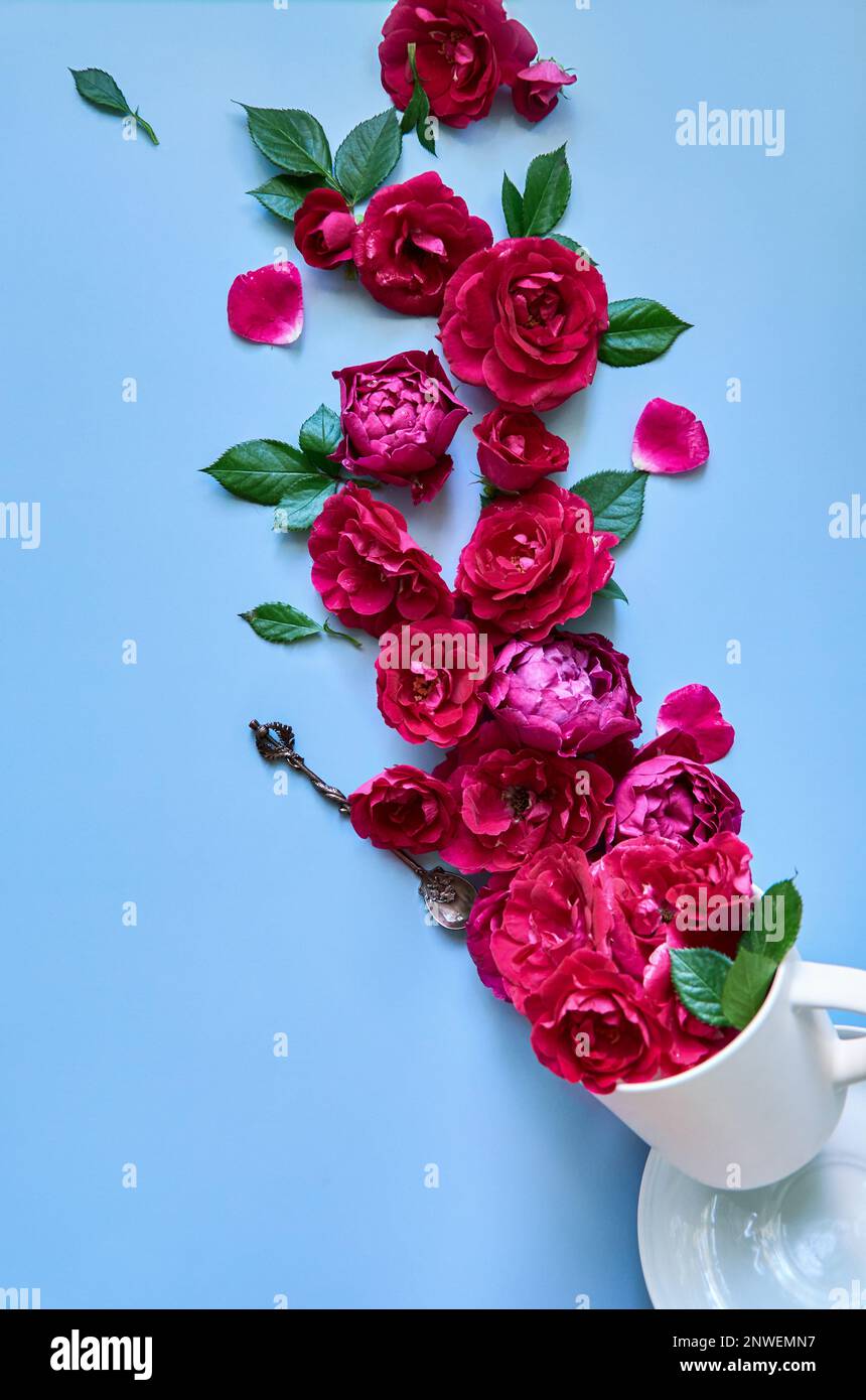 Fiori rossi peonie in tazza su sfondo blu pastello floreale. Giacitura piatta, verticale Foto Stock