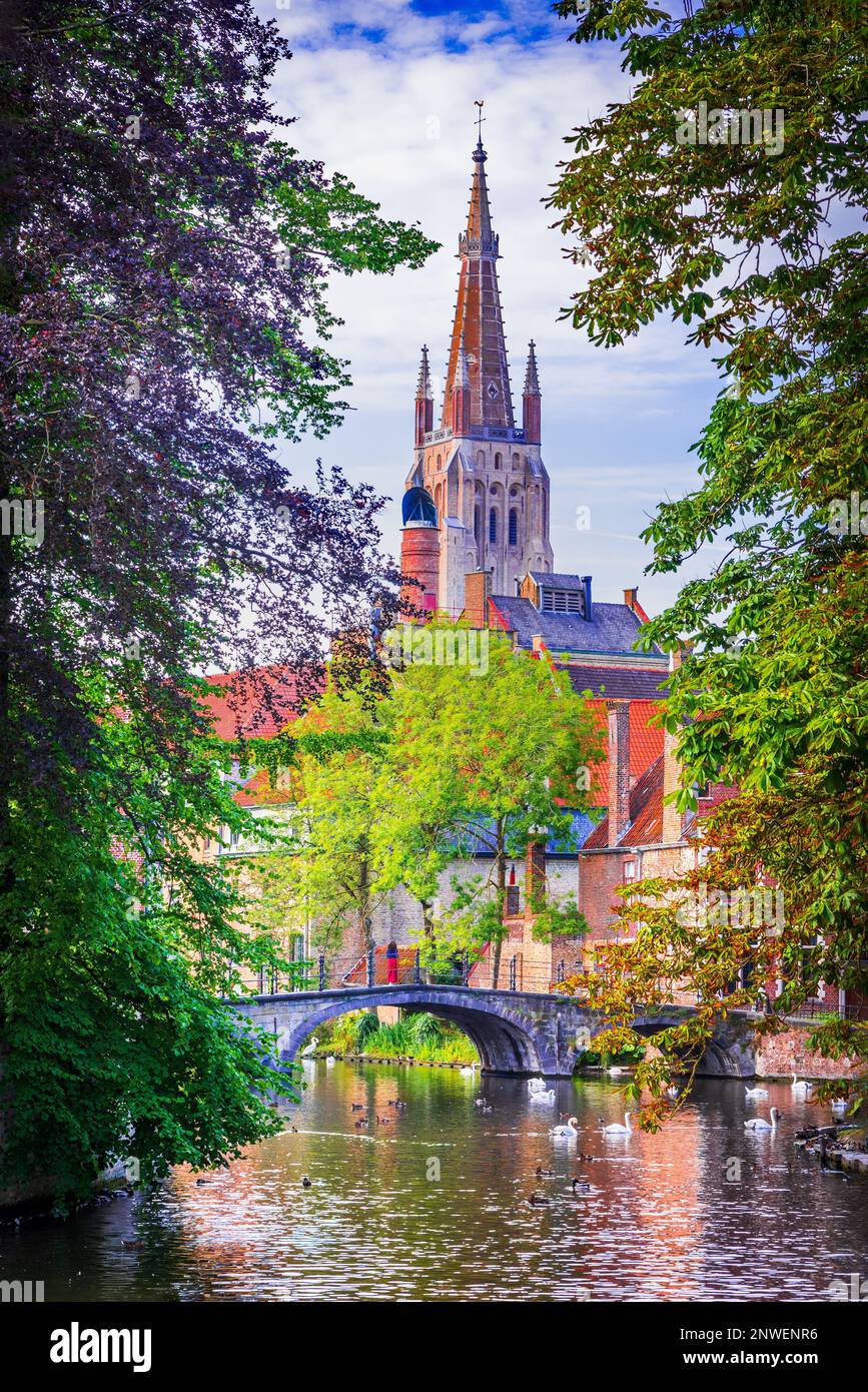 Bruges, Belgio. La Chiesa di nostra Signora a Brugge, Fiandre, è un capolavoro gotico meraviglioso noto per la sua alta torre di mattoni Foto Stock