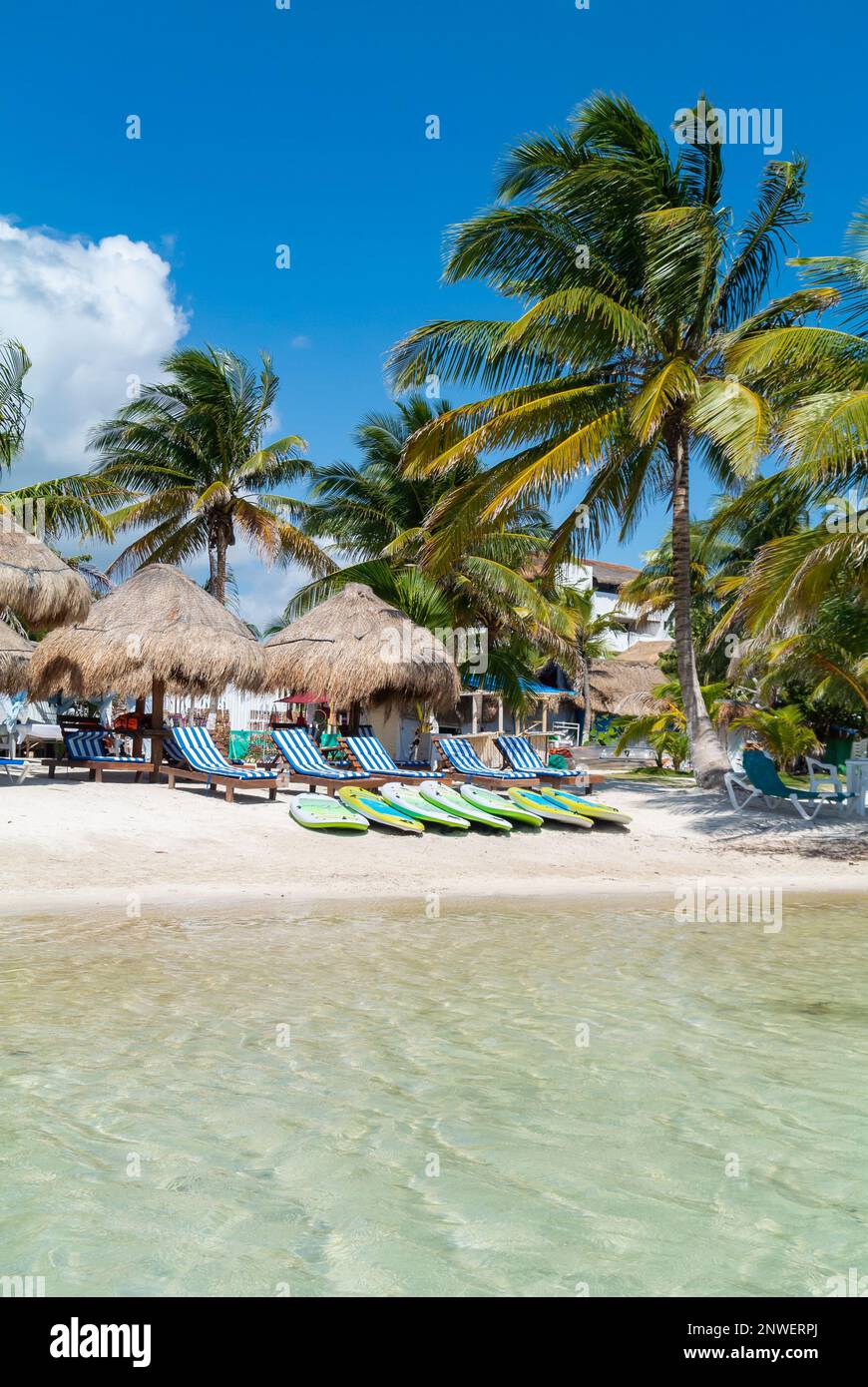 Mahahual, Quintana Roo, Messico, Beach club con lunghe sedie e ombrelloni con palme sulla spiaggia Mahahual Foto Stock