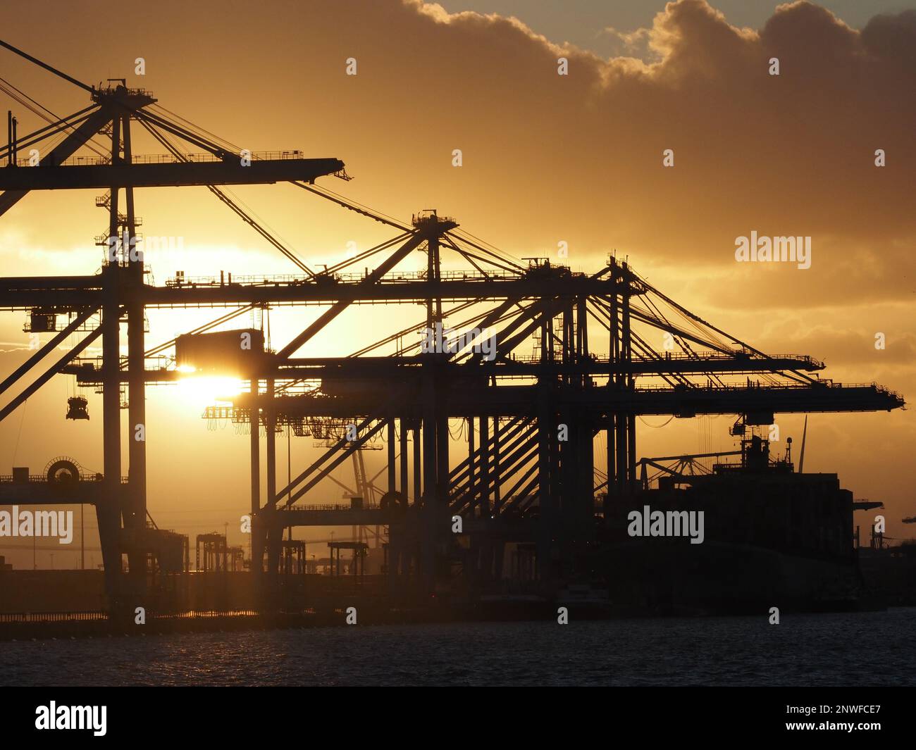 Gru per container nel porto di Rotterdam con sagome al tramonto. Rotterdam, Paesi Bassi. Foto Stock