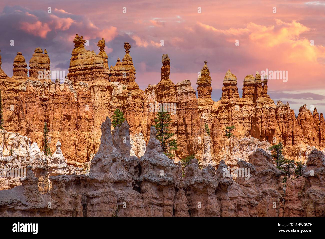 Incredibile e unico Bryce Canyon nello Utah durante l'estate in un pomeriggio di tramonto dalle nuvole blu e tempestose con splendide nuvole e vette iconiche. Foto Stock