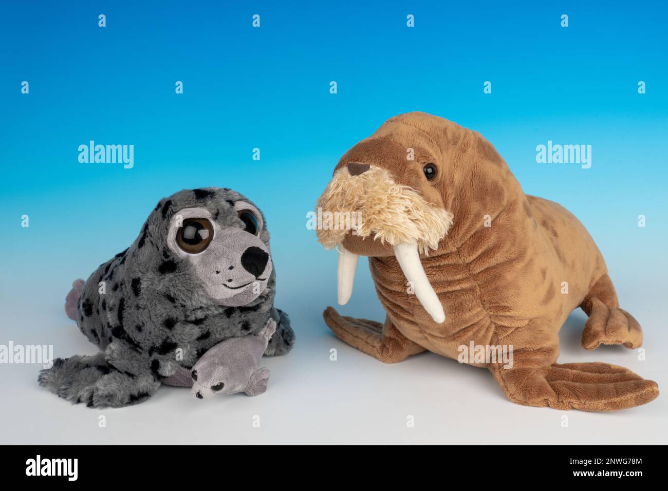 Madre e bambino Harbor Seal e Walrus animali farciti su uno sfondo blu e bianco senza cuciture. Foto Stock