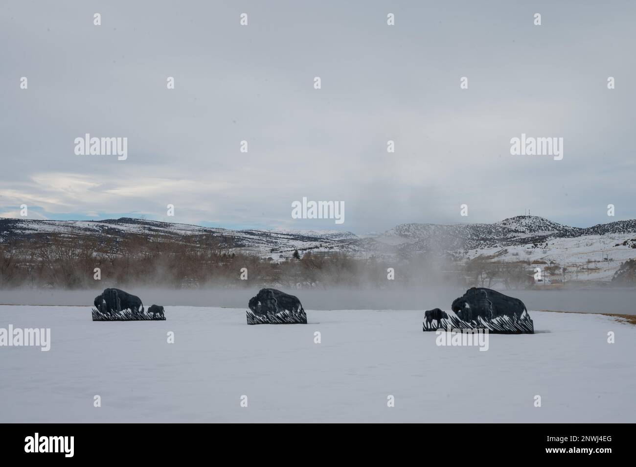 L'Hot Springs state Park di Thermopolis, Wyoming, offre ai visitatori la possibilità di passeggiare per la bellezza panoramica, vedere un allevamento di bisonti e nuotare in numerose sorgenti termali. Il parco dispone di una piscina termale calda mantenuta a 104 gradi per consentire agli ospiti di nuotare tutto l'anno. A meno di cinque ore di auto dalla F.E. La base dell'aeronautica militare Warren, Wyoming, Thermopolis è un'opzione facile da esplorare per Airmen. Foto Stock