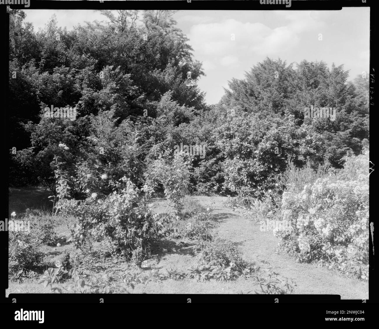 Tallwood, Green Mountain, Albemarle County, Virginia. Carnegie Survey of the Architecture of the South. Stati Uniti Virginia Albemarle County Green Mountain, giardini. Foto Stock