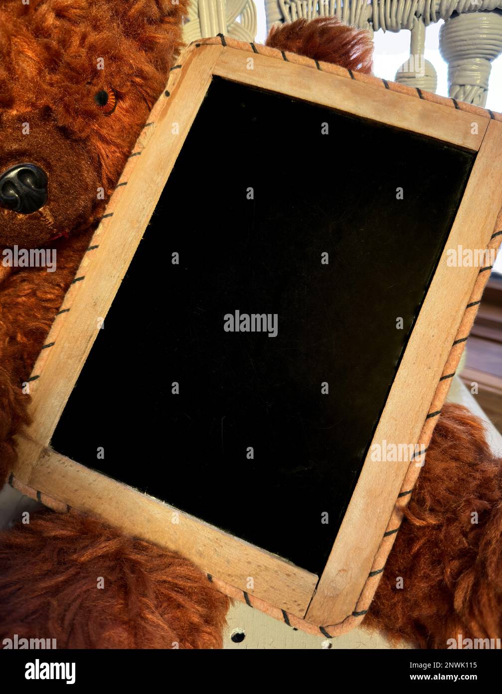 La lavagna è tenuta da un grande orso bruno di peluche. È pronto per il testo, il messaggio, l'annuncio. Il Blackboard è vintage e incorniciato in legno. L'orso di pelliccia è grande. Foto Stock