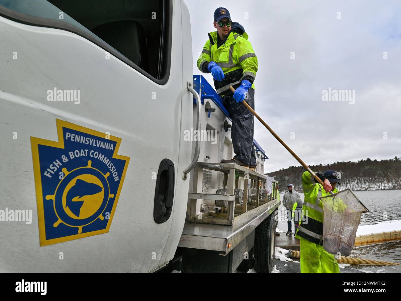 Wyoming, Stati Uniti. 28th Feb, 2023. I dipendenti della fish and Boat commission svuotano un camion di pesce in un lago utilizzando manichette e reti. La Pennsylvania Fish and Boat commission stocks ruscelli e laghi per la stagione di pesca. Si immagazzina usando un camion con un carro armato che tiene i pesci da un'incubatoio, manichette, reti e secchi. Oggi hanno rifornito Frances Slouch state Park con arcobaleno, trote dorate e regolari. Credit: SOPA Images Limited/Alamy Live News Foto Stock