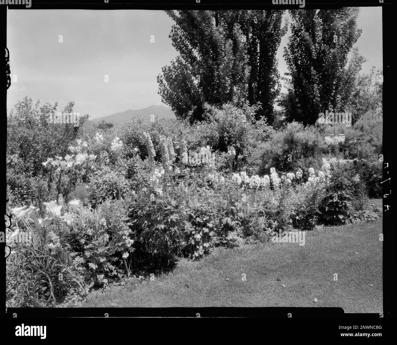 Martha's Farm, Lynchburg, Campbell County, Virginia. Carnegie Survey of the Architecture of the South. Stati Uniti Virginia Campbell County Lynchburg, giardini. Foto Stock