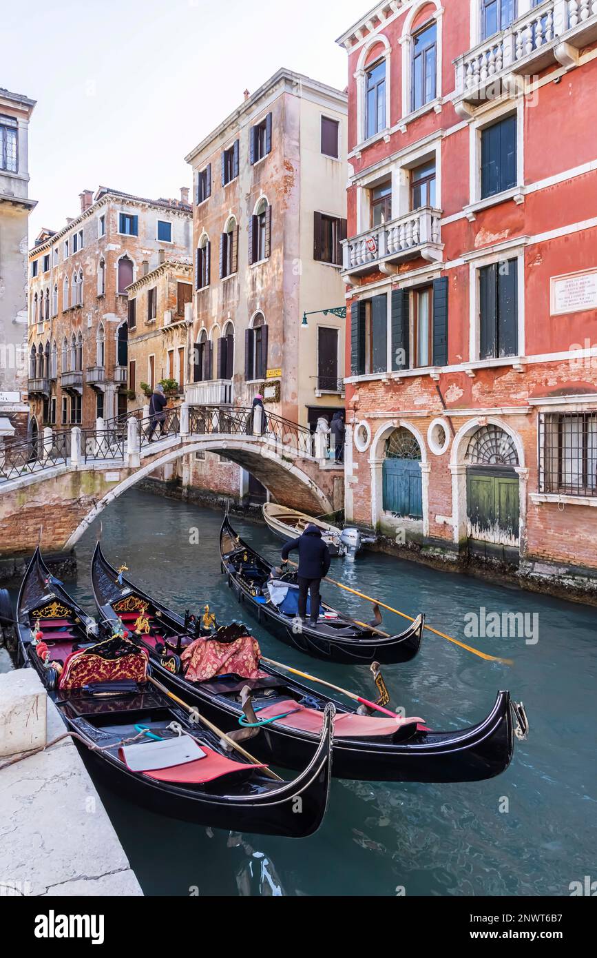 Gondoliere, Venezia, Italia Foto Stock