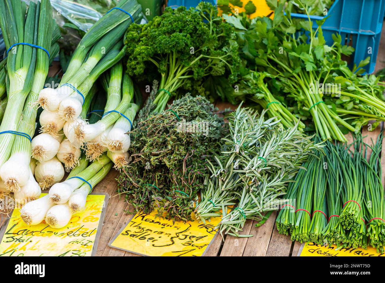 Cipolle, prezzemolo, erbe da cucina. Visualizzazione sul mercato settimanale di Stoccarda, Baden-Wuerttemberg, Germania Foto Stock