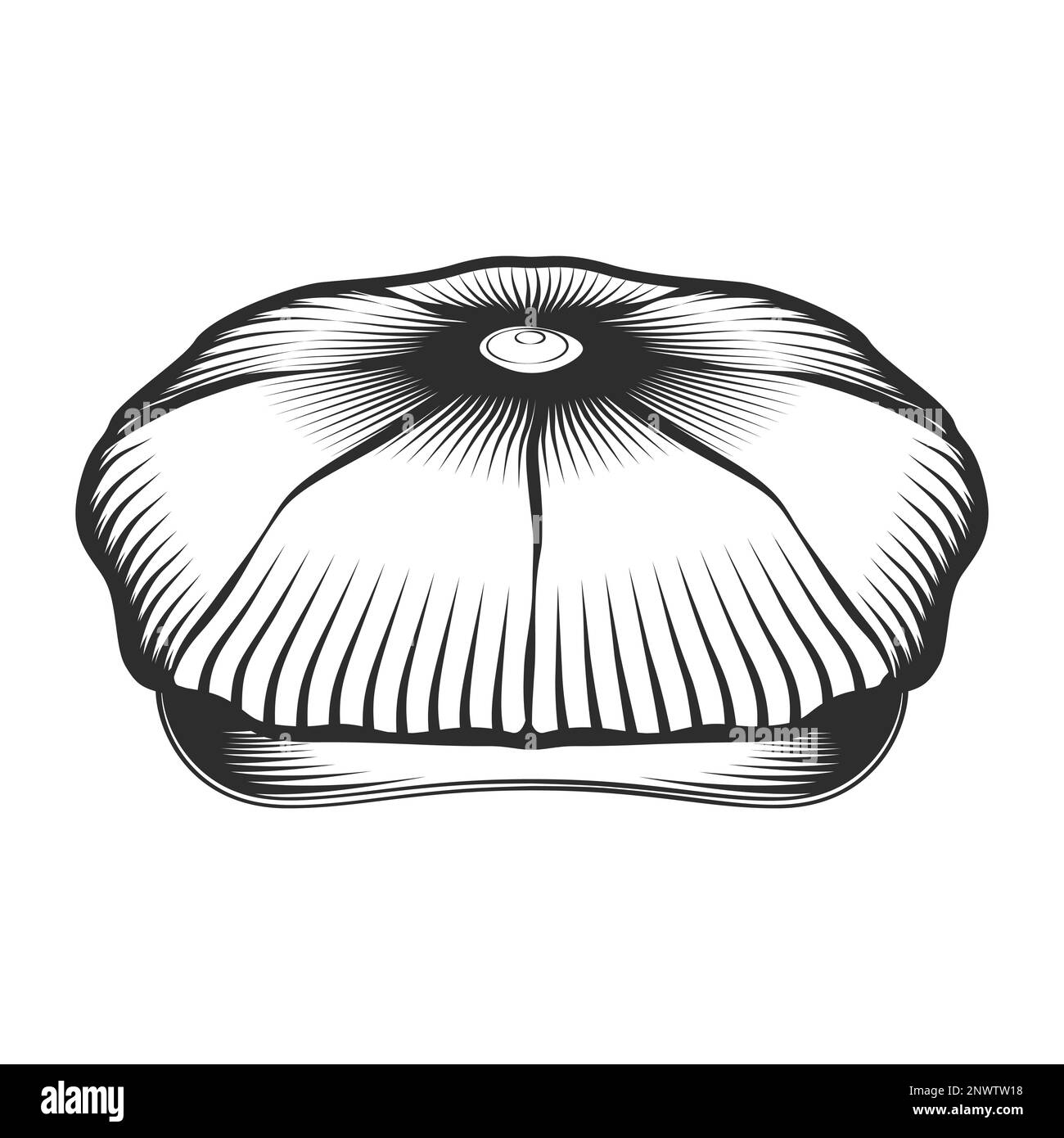 Illustrazione vintage vettoriale cappello Tweed cappello piatto Foto Stock