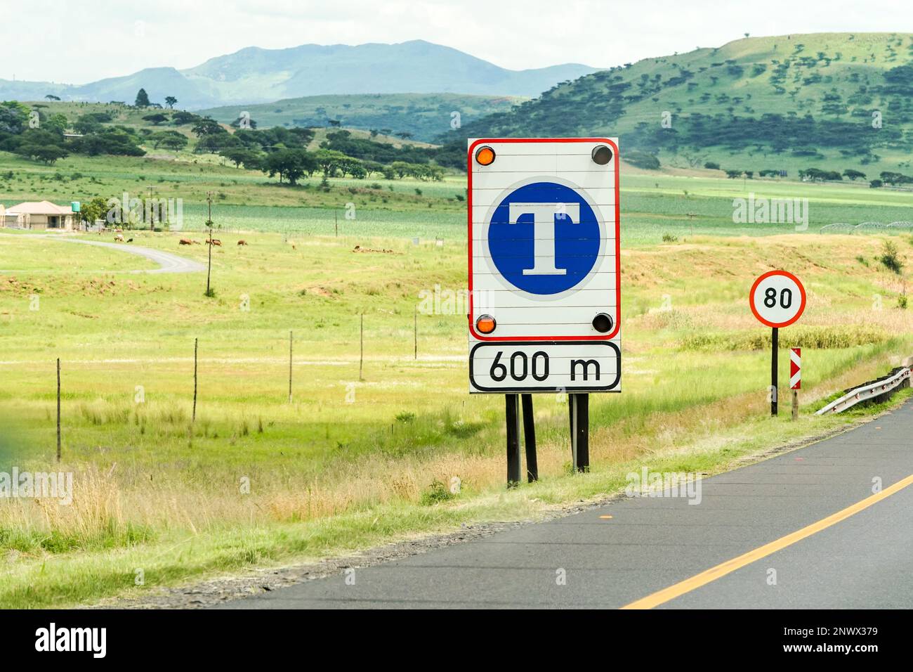 T bianca su sfondo blu su un cartello stradale che indica che un casello o un casello a pedaggio è vicino su un'autostrada in Sud Africa Foto Stock