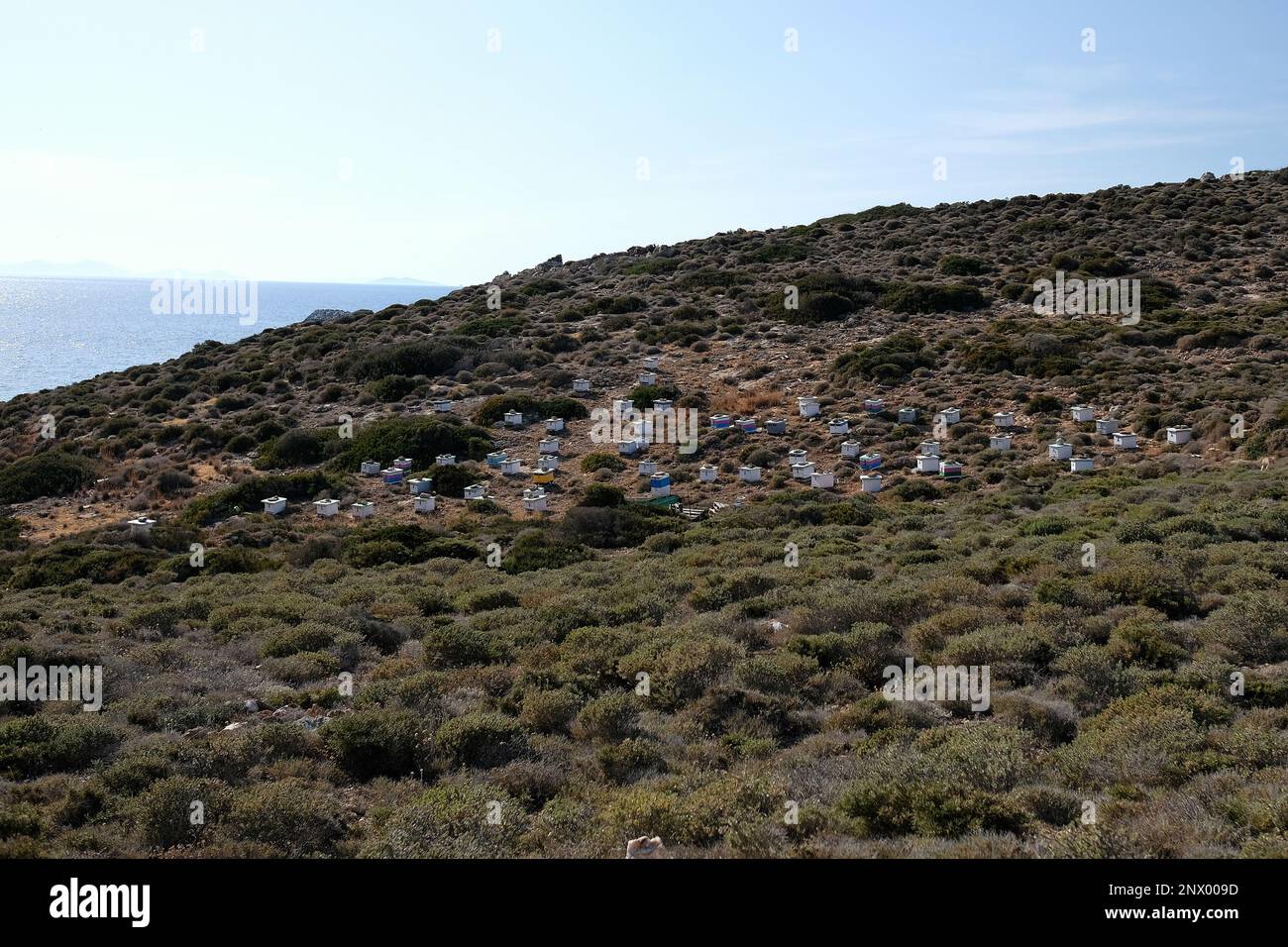 Vista di decine di alveari di api all'aperto su una collina in Grecia iOS Foto Stock