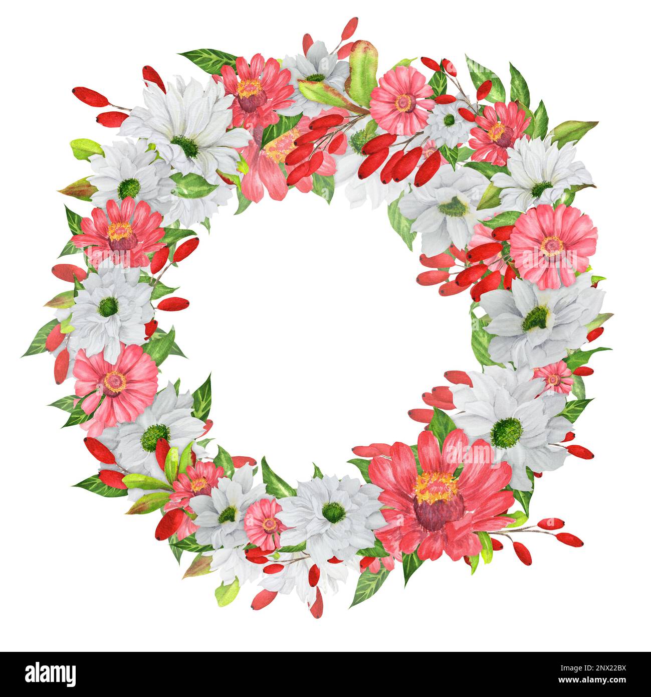 Corona acquerello disegnata a mano con fiori da giardino e barberry. Una piccola parte del grande giardino DEGLI UCCELLI set Foto Stock