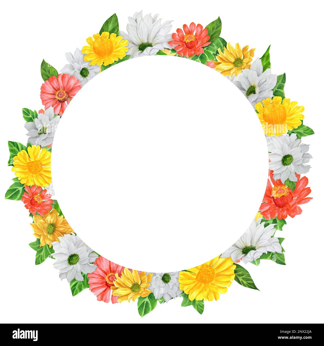 Corona acquerello disegnata a mano con crisantemo e zinnia. Una piccola parte del grande giardino DEGLI UCCELLI set Foto Stock