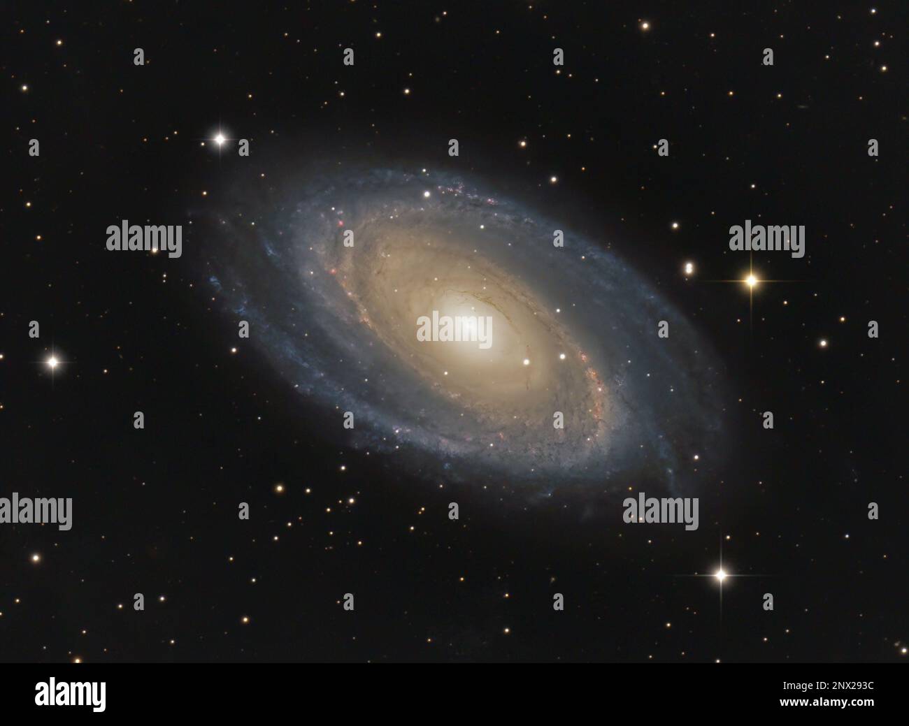 Bode's Galaxy (Messier 81) nella costellazione di Ursa Major, fotografata dal Regno Unito Foto Stock