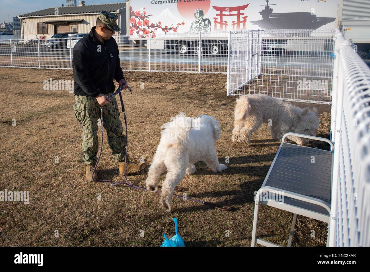 YOKOSUKA, Giappone (1 febbraio 2023) - i membri della comunità e i loro animali domestici godono di 'Barky Field', il nuovo parco per cani a bordo del comandante, Fleet Activities Yokosuka. Il parco per cani è stato costruito dal dipartimento lavori pubblici della CFAY insieme al Naval Facilities Engineering Systems Command (NAVFAC) far East. Per 75 anni, la CFAY ha fornito, mantenuto e gestito strutture e servizi di base a sostegno delle forze navali della flotta statunitense 7th, dei comandi locatari e di migliaia di militari e civili e delle loro famiglie. Foto Stock