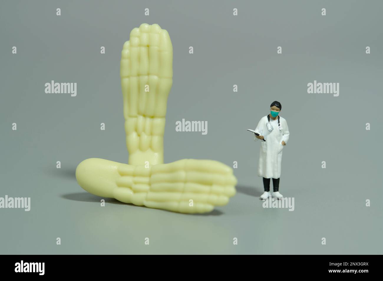 Fotografia di figura giocattolo delle persone in miniatura. Una dottoressa in piedi accanto alle dita delle dita delle ossa. Sfondo grigio isolato. Foto dell'immagine Foto Stock