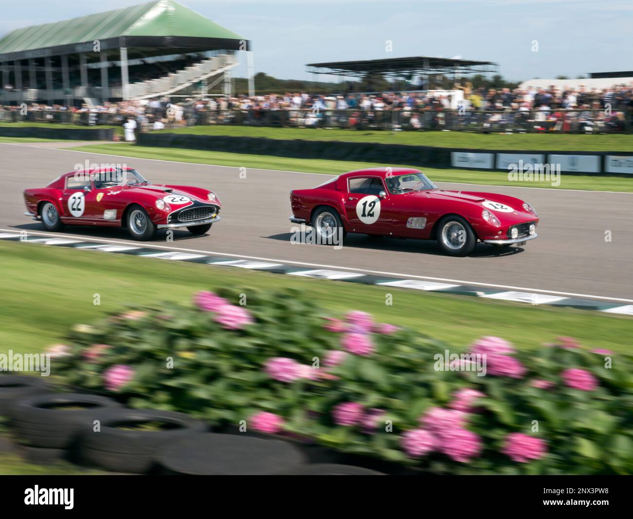 Goodwood Revival 2015. Levant Cup Ferrari 250 Tour De France vetture Foto Stock