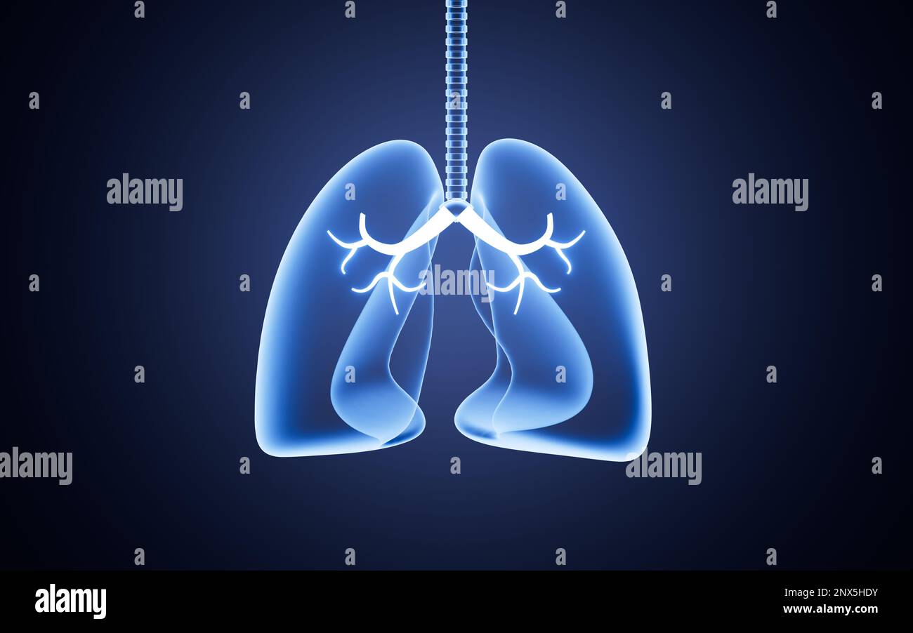 Sistema nervoso luminoso e polmoni, concetto medico, rendering 3D. Disegno digitale. Foto Stock