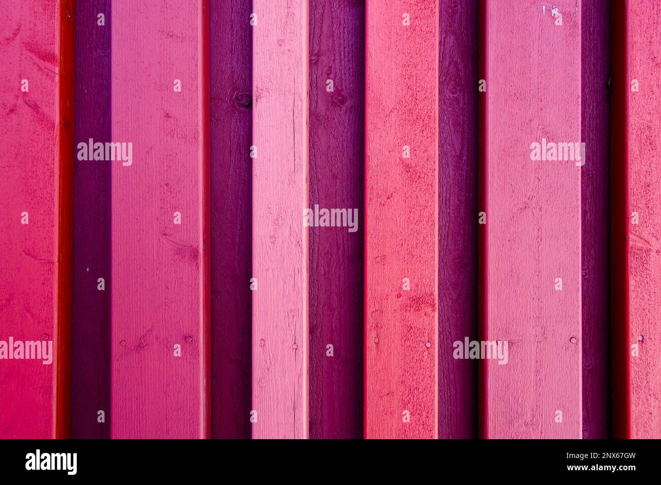 Sfondo colorato con struttura in legno. Primo piano di tavole di legno. Colori: Rosso, rosa e viola. Foto Stock