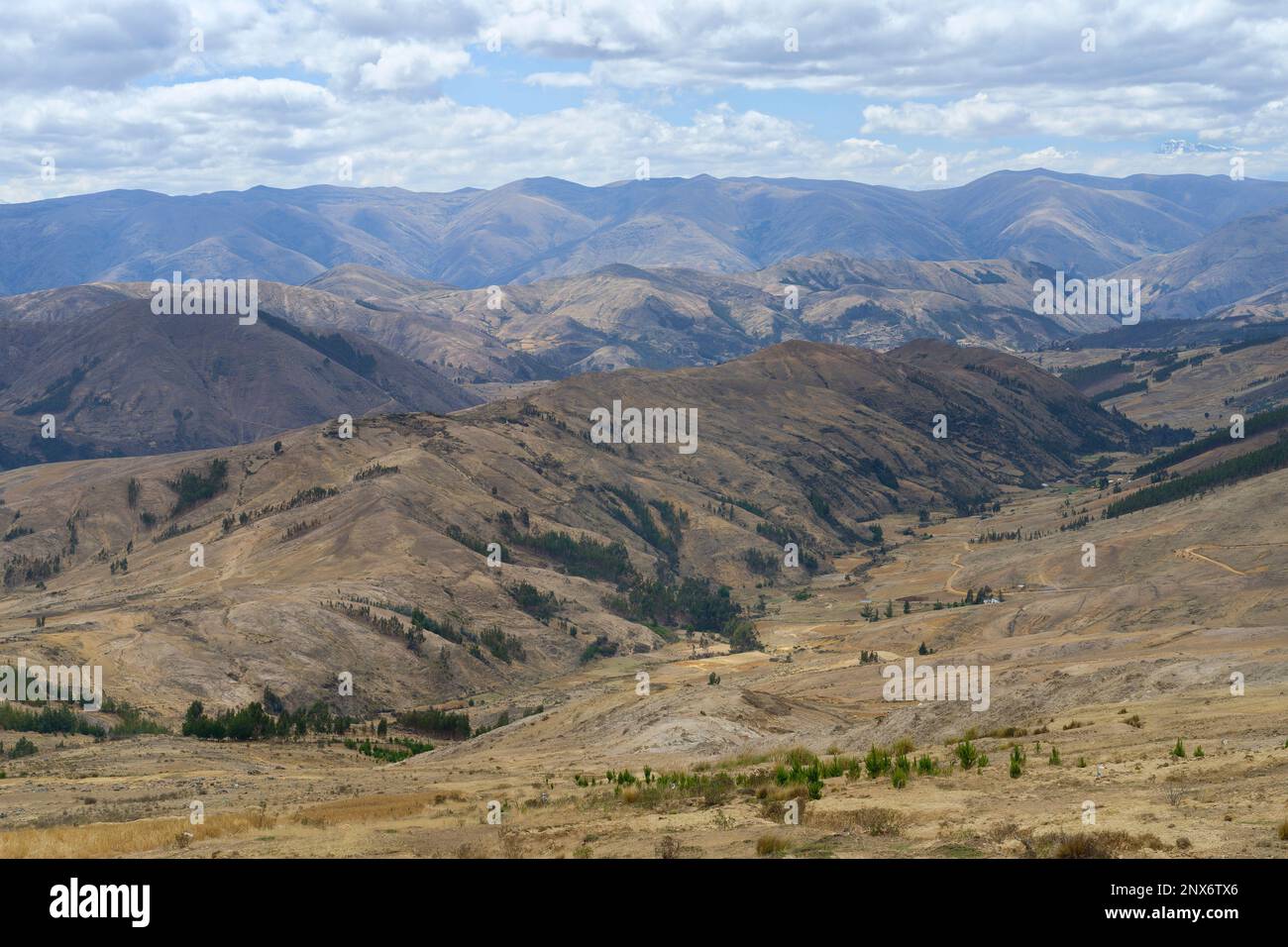 Ande paesaggio, Manu Parco Nazionale, Perù Foto Stock