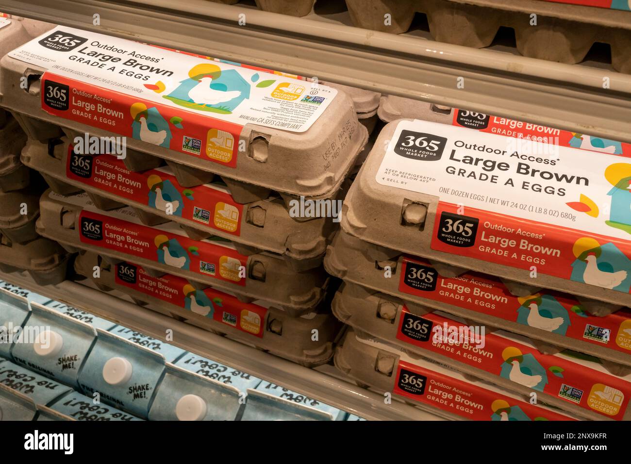 Uova in un supermercato Whole Foods Market a New York Domenica, 19 febbraio 2023. A gennaio le vendite al dettaglio sono salite del 3% superando le aspettative di analystsÕ. (© Richard B. Levine) Foto Stock