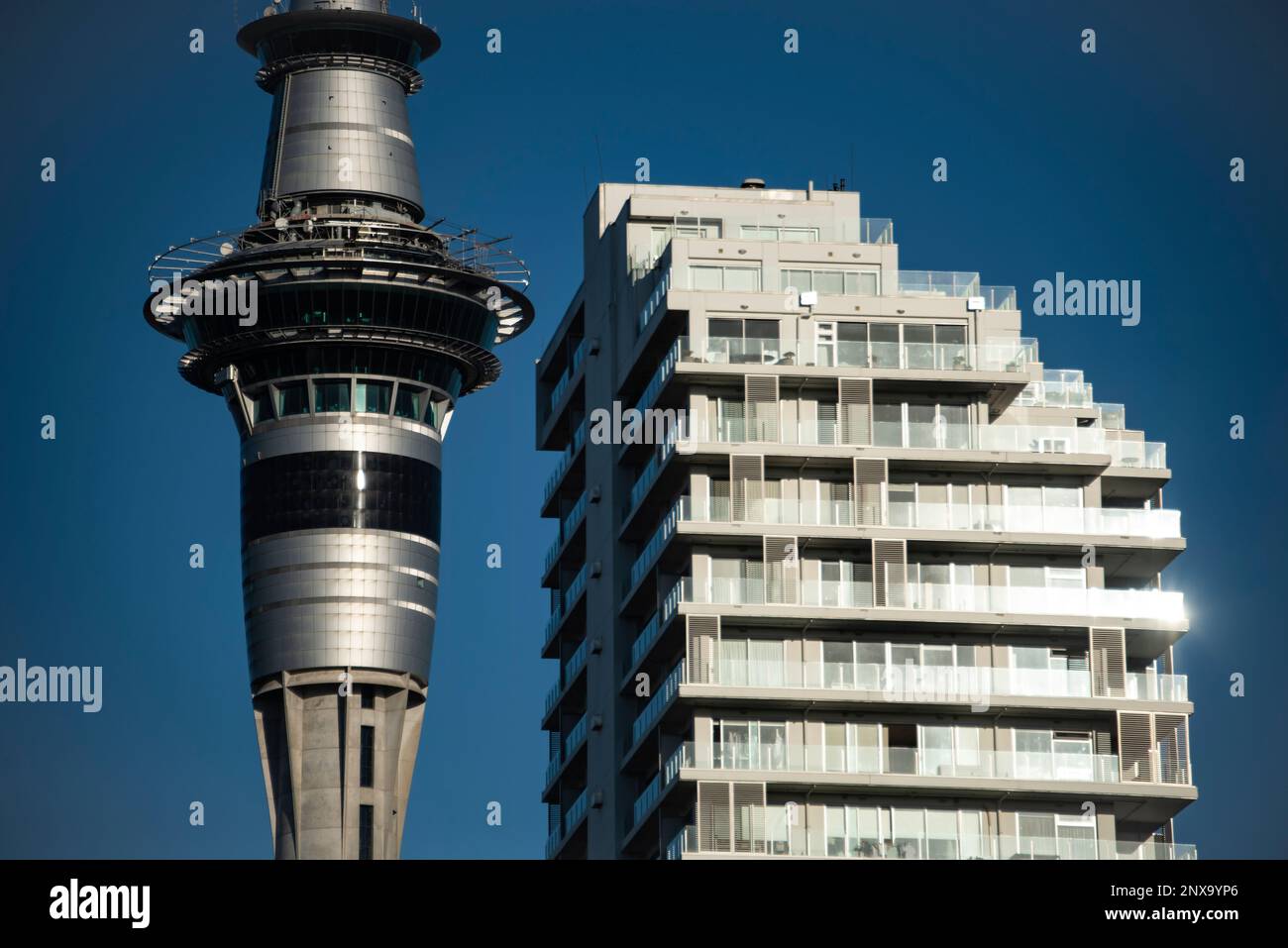 Sky Tower, Auckland, isola settentrionale, Nuova Zelanda. Foto Stock