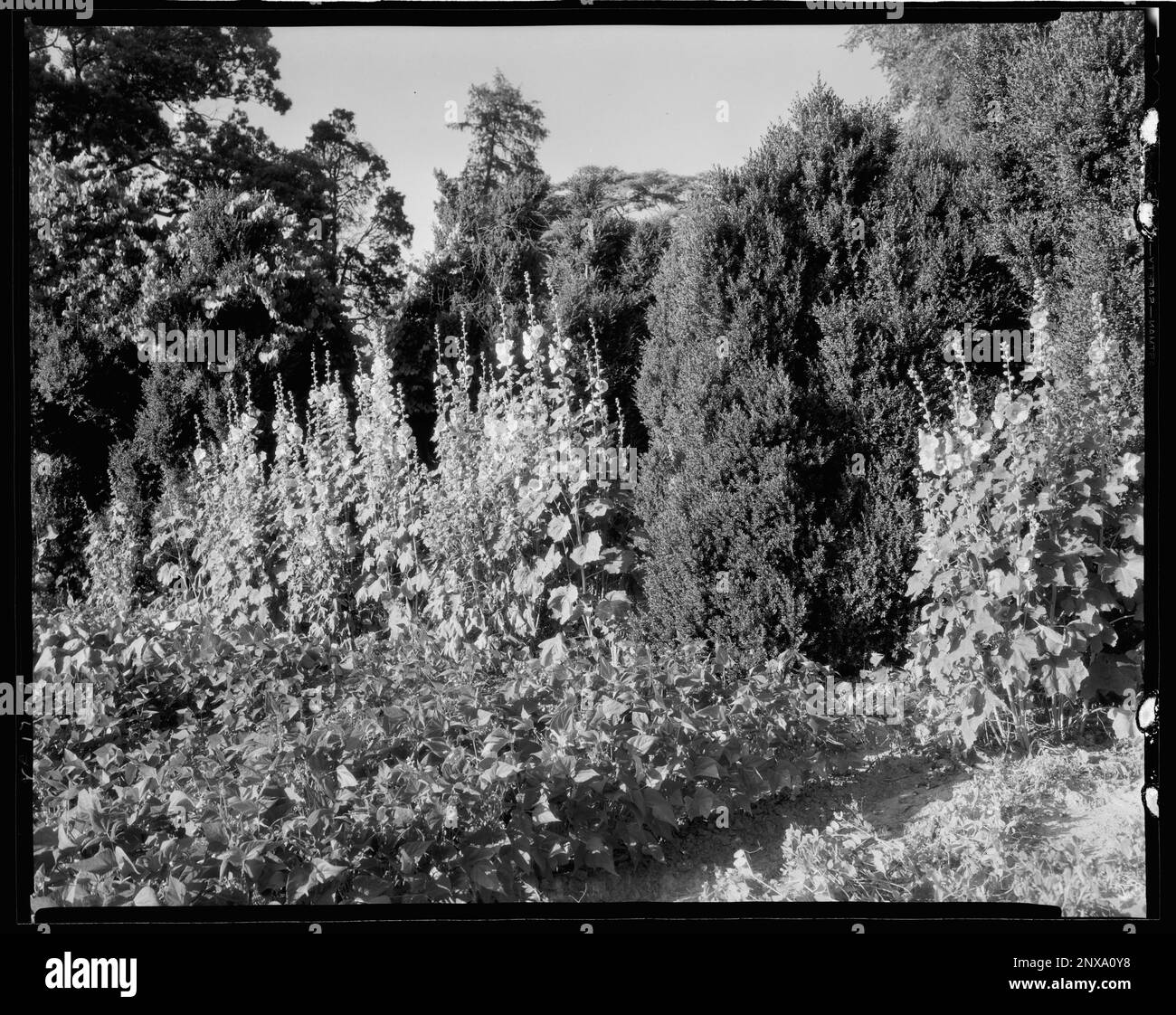 Bremo Recess, Fork Union vic., Fluvanna County, Virginia. Carnegie Survey of the Architecture of the South. Stati Uniti Virginia Fluvanna County Fork Union vic, Gardens. Foto Stock