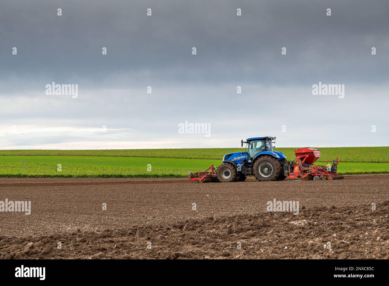 il trattore lavora in un campo Foto Stock