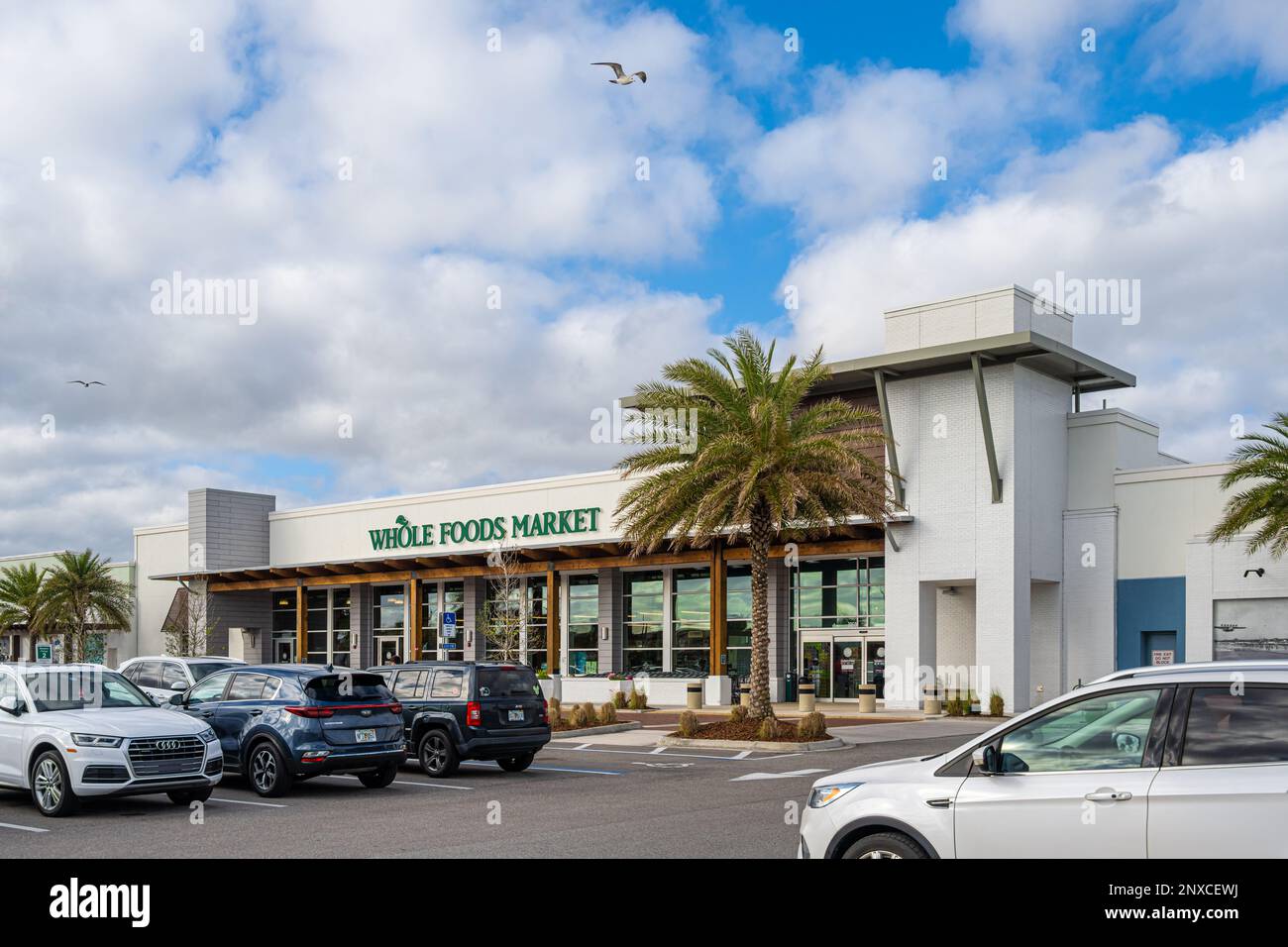 Whole Foods Market sulla Florida A1A a Jacksonville Beach, Florida. (STATI UNITI) Foto Stock Whole Foods Market sulla Florida A1A a Jacksonville Beach, Florida. (STATI UNITI) Foto Stock