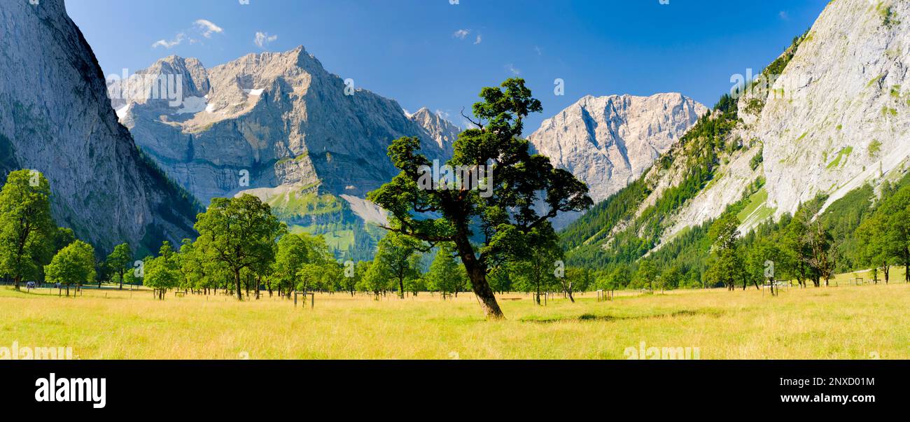 paesaggio panoramico con roccia e catena montuosa Foto Stock