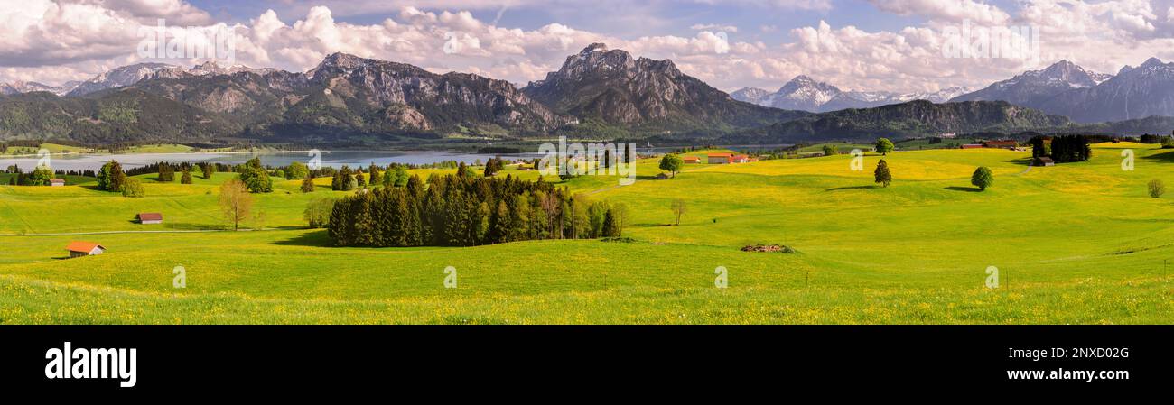 Panorama Landschaft im Allgäu, Bayern Foto Stock