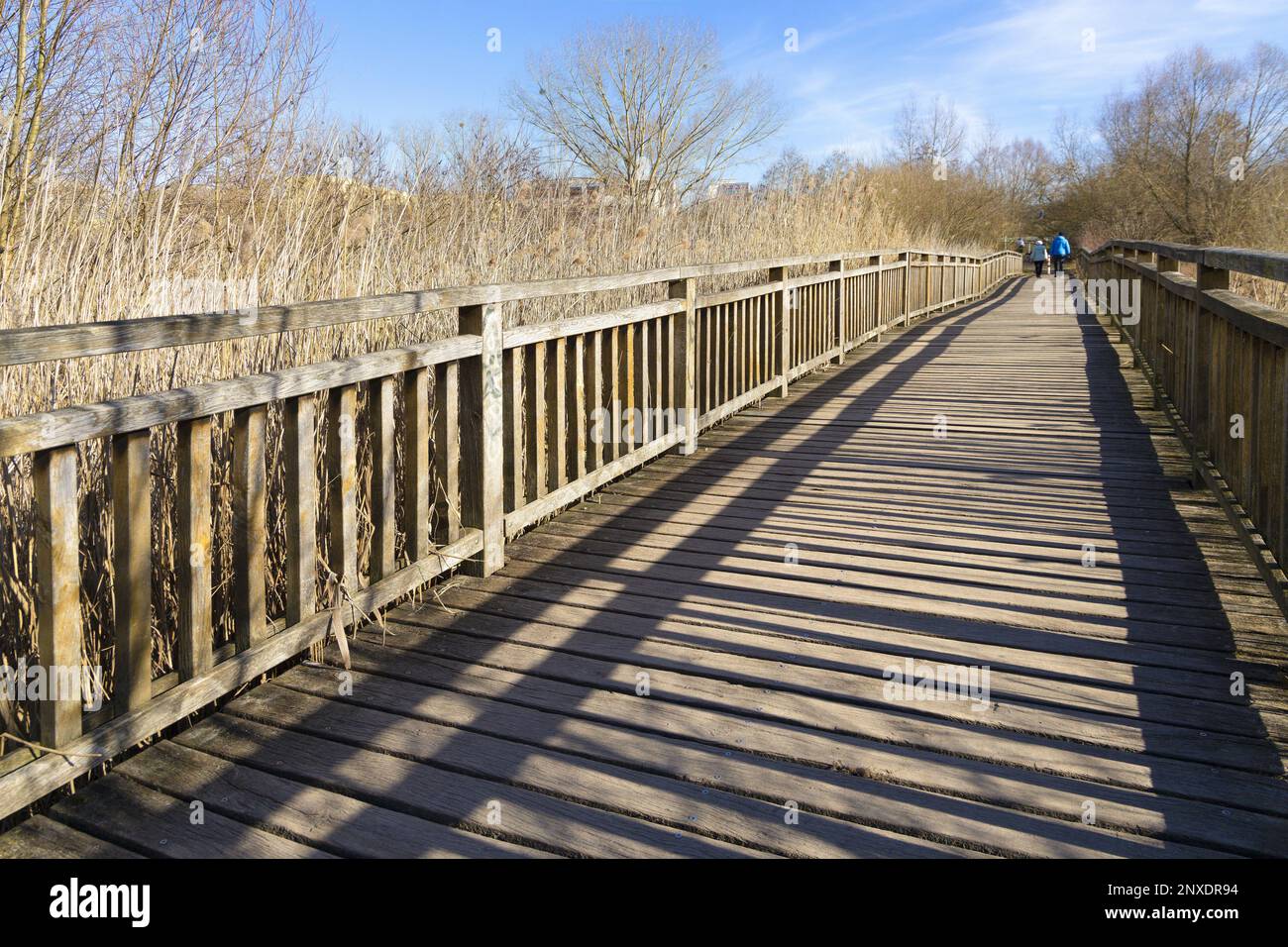 Un ponte in legno a Kienbergpark, completato per l'IGA 2017, Berlino - Germania Foto Stock