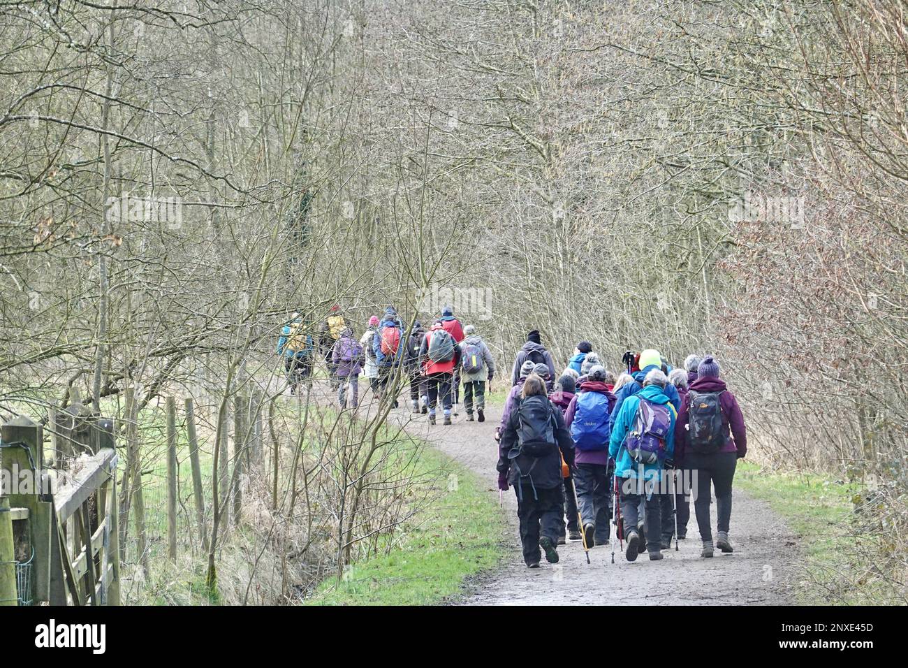 Un gruppo a piedi sul Sentiero della Sett Valley a New Mills, Derbyshire Foto Stock