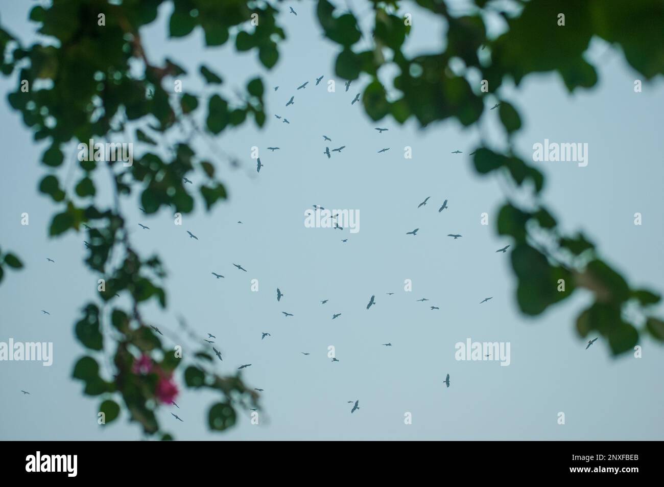 Foto della barca sull'acqua a Sadarghat e vista sulla strada. Alcuni venditori di fiori a Dhaka, Bangladesh Foto Stock