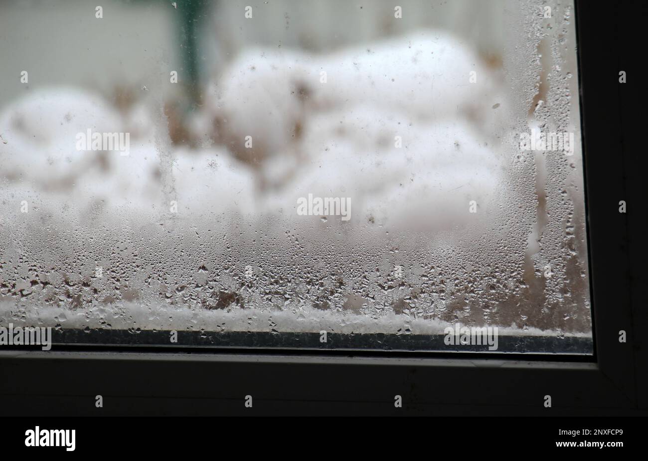 Umidità alta immagini e fotografie stock ad alta risoluzione - Alamy