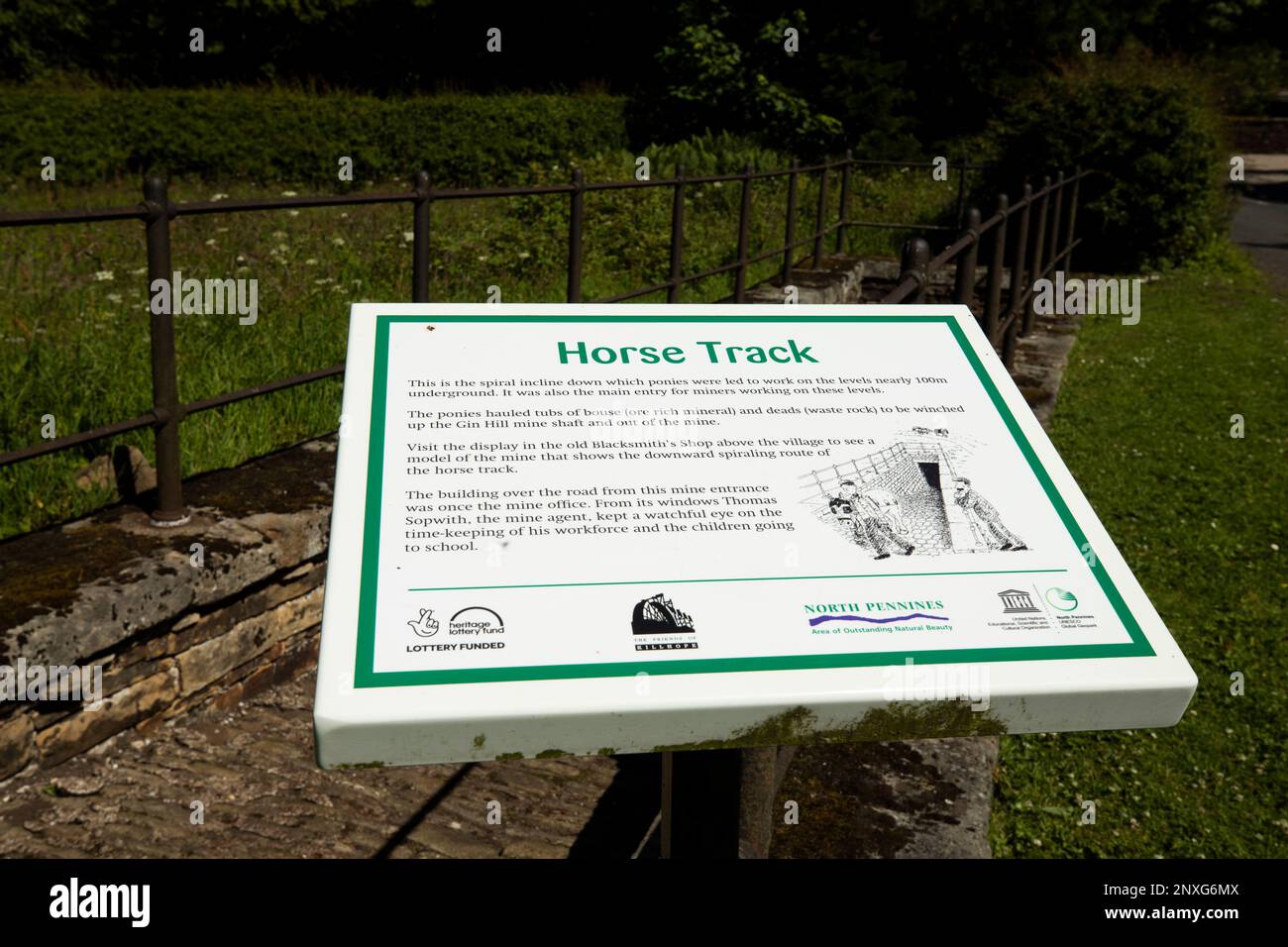 Scheda informativa sui pony delle miniere di Allenheads nella zona nord di Pennines di eccezionale bellezza naturale e Geopark globale dell'UNESCO Foto Stock