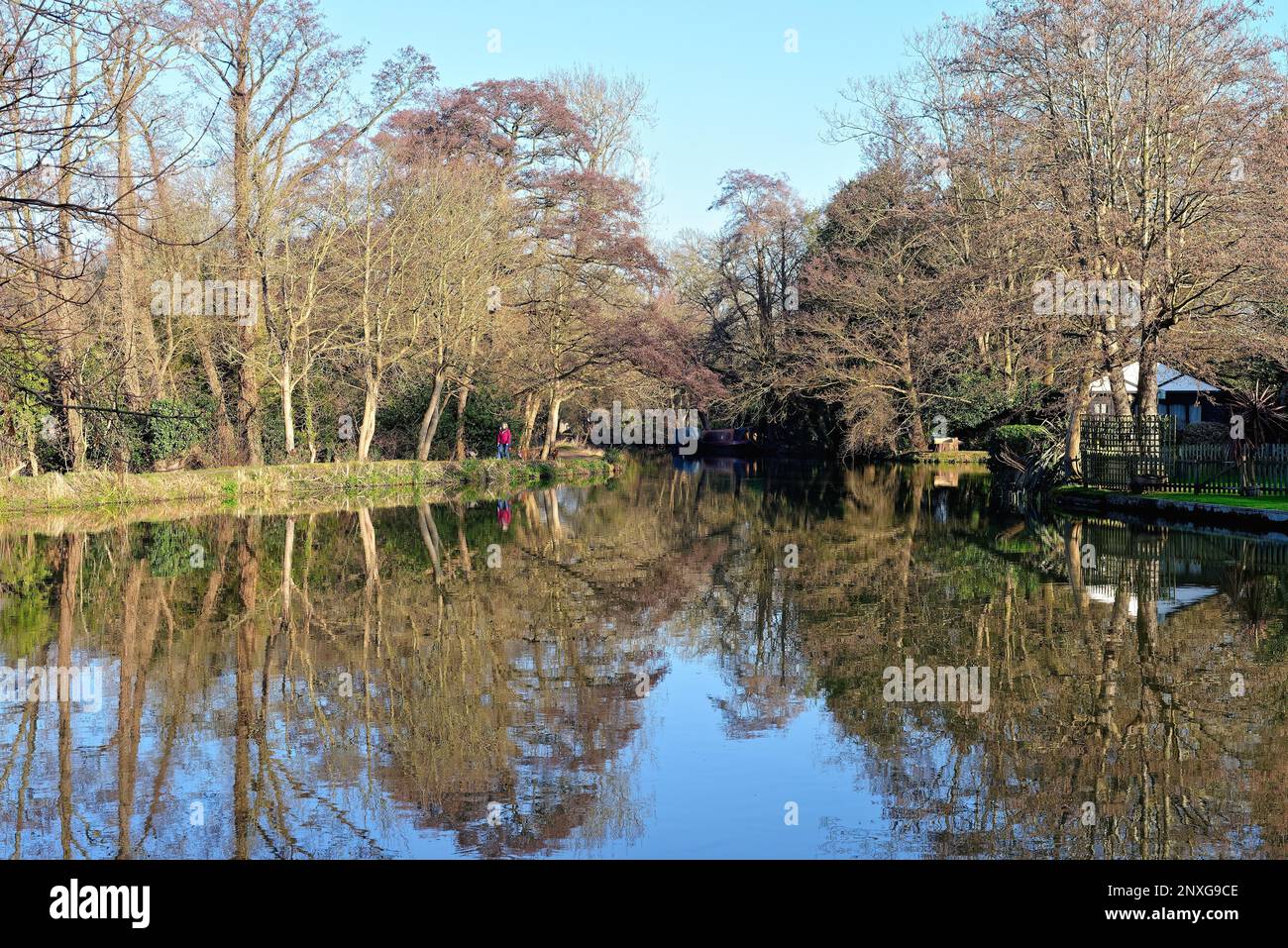 Il tranquillo e tranquillo backwater del canale di navigazione River Wey a Weybridge in un giorno soleggiato inverni Surrey Inghilterra UK Foto Stock