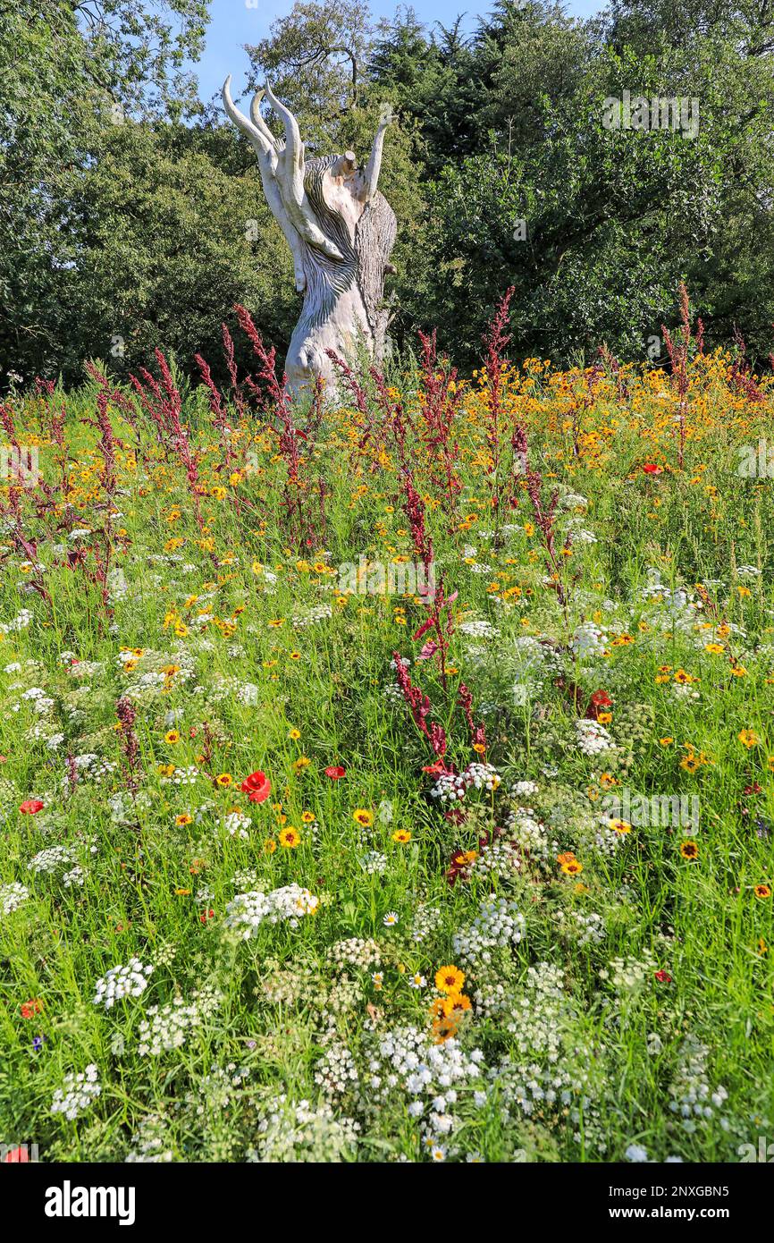 Fiori selvatici di fronte alla scultura in legno 'Diving Otters' dello scultore Andy Burgess a Trentham Gardens, Stoke-on-Trent, Staffordshire, Inghilterra, Regno Unito Foto Stock