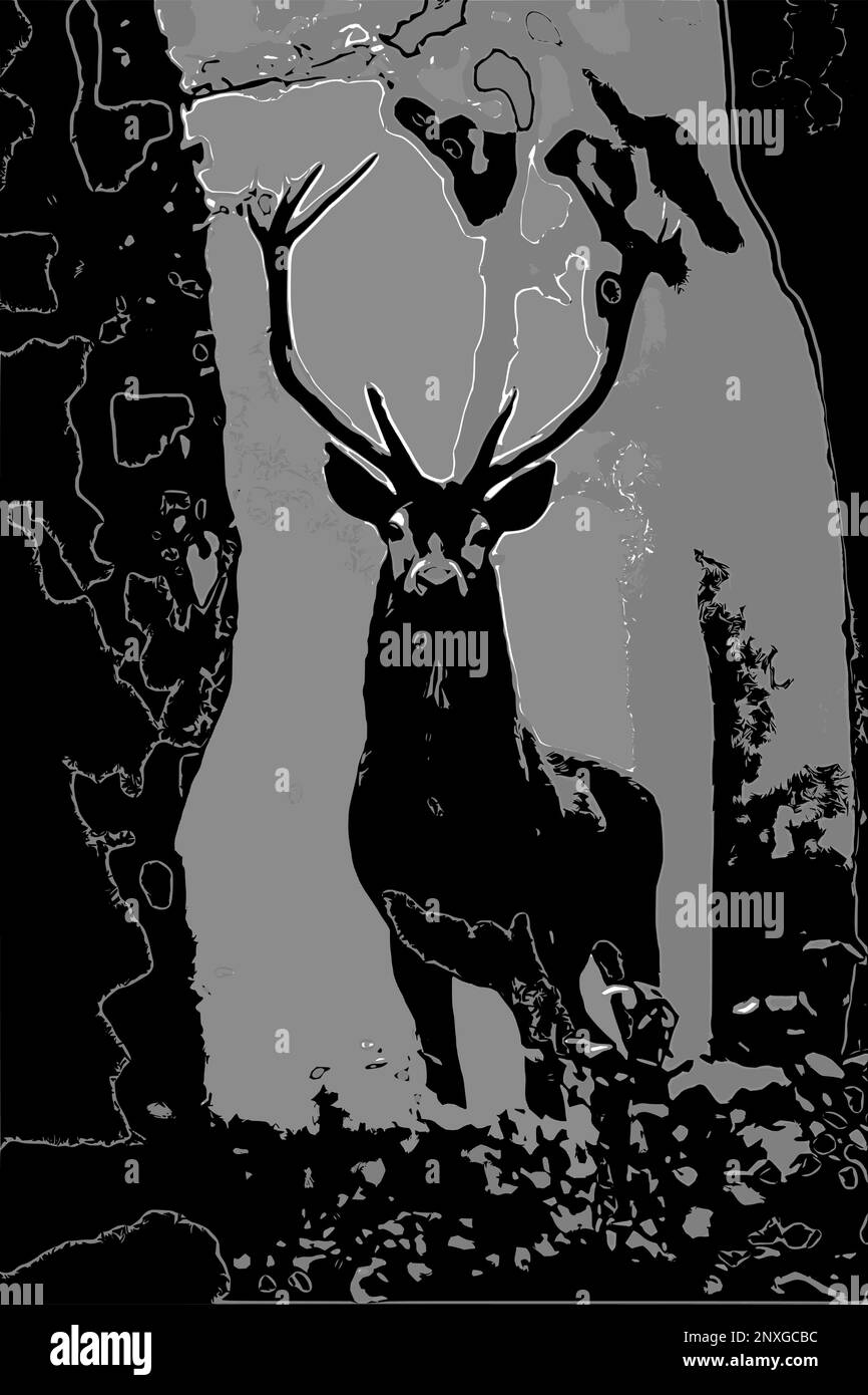 Immagine in bianco e nero di un cervo. Cervo rosso (Cervus elaphus). Illustrazione Vettoriale
