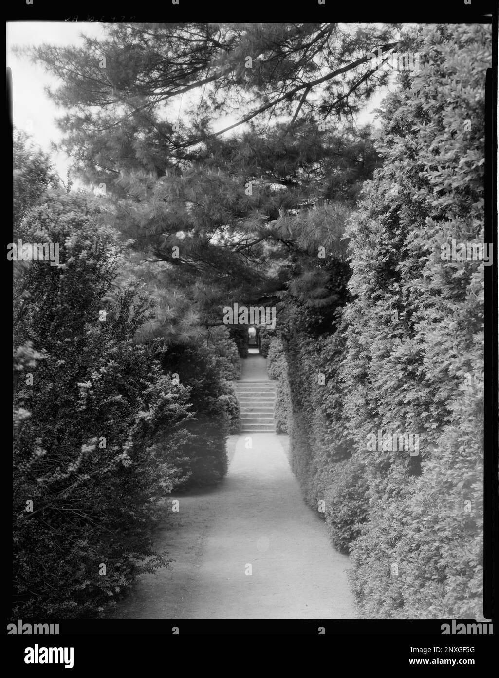 Giardino non identificato, Virginia. Carnegie Survey of the Architecture of the South. Virginia degli Stati Uniti, sentieri e percorsi, giardini. Foto Stock