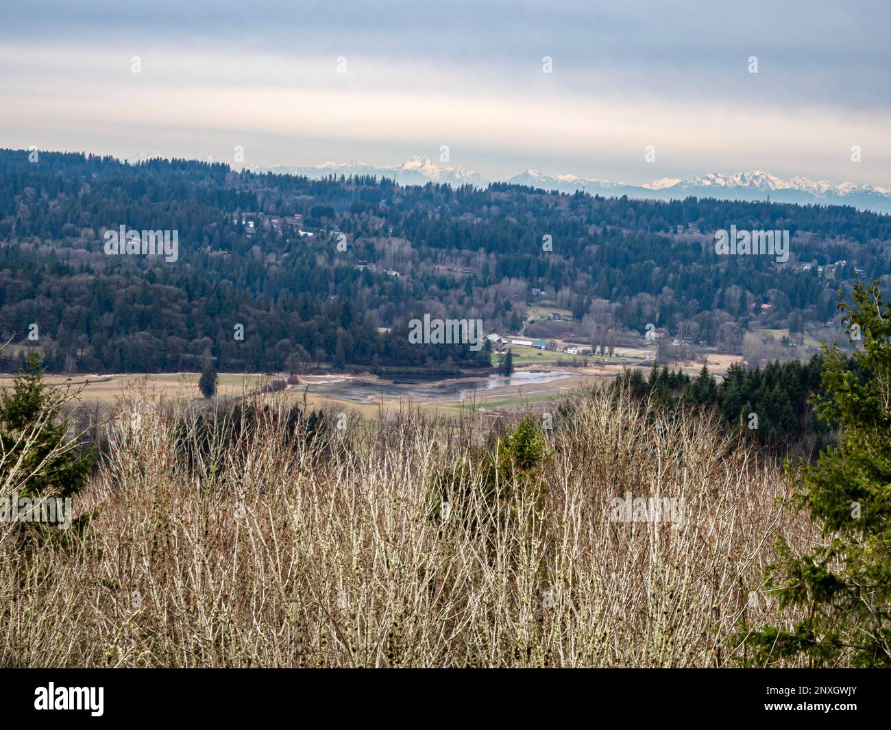 WA23165-00...WASHINGTON - campi di fattoria allagati lungo il fiume Snohomish con le montagne olimpiche oltre vista dal Parco Regionale di Lord Hill. Foto Stock