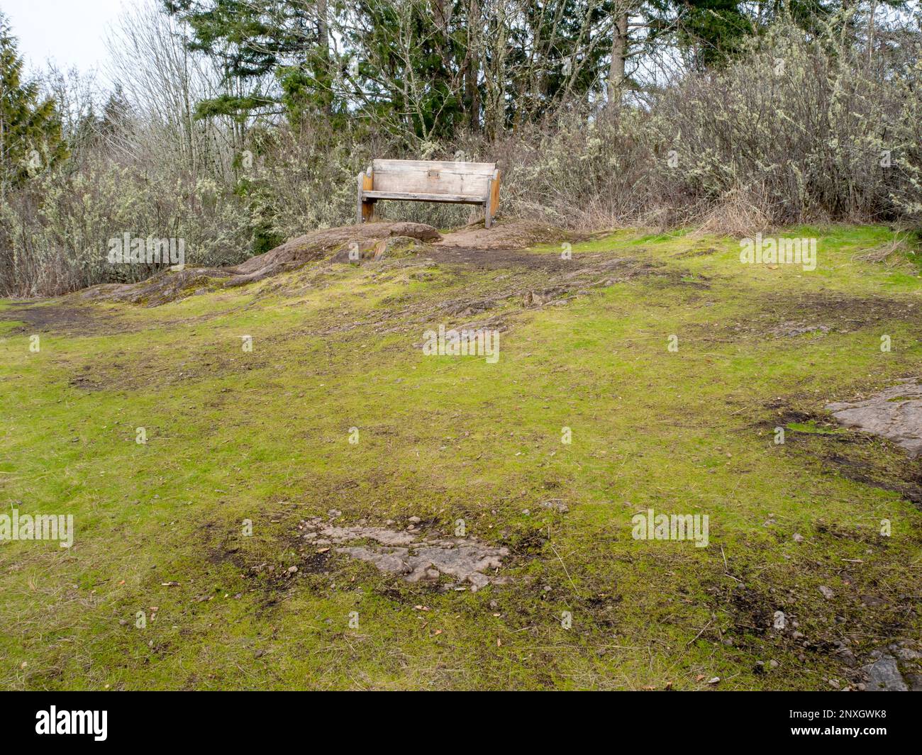 WA23166-00...WASHINGTON - Bench con vista sulla valle del fiume Snohomish al Parco Regionale di Lord Hill nella regione di Snohomish. Foto Stock