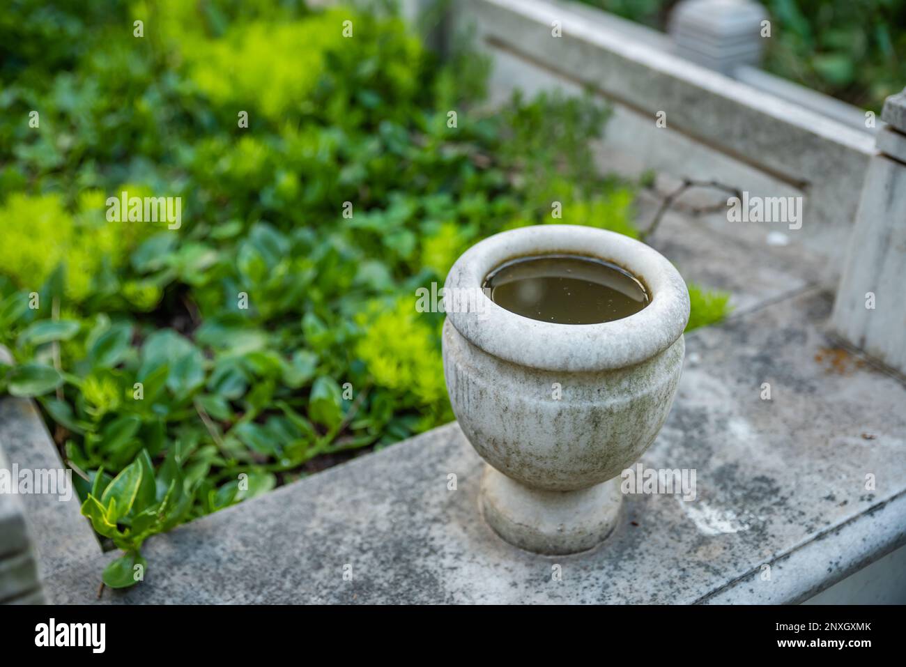 Lapidi e tombe al cimitero musulmano. Cimitero di campagna con piante verdi in Turchia. Foto di alta qualità Foto Stock